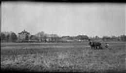 Mohawk Institute farm in Brantford, [Ont.] 14 Nov., 1917