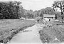 Old Mill and dam on the Don River, [Toronto, Ont.] n.d.