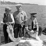 Constable Van Blarcom tagging fox at Moose Factory. George Papp in the centre is the independent fur trader at Richmond Gulf 1949