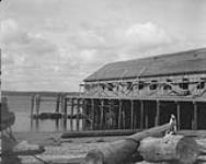 Scene at Masset, Queen Charlotte Islands 1926