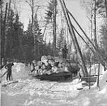 Loading sleigh with fine logs from a skid on Coulonge timber limit of Gillies Bros. Ltd January or February 1949