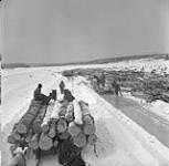 Log sleighs at the dump at Cassels Lake - near Temagami ca. 1949