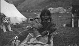 Femme aînée autochtone.  [Qannguq en train de nettoyer une peau d'animal.] Aug. 1923