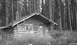Wood Buffalo Cabin on banks of Peace River 1925