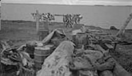 Cutting up whale meat. Kidluit Bay, Richard Island, N.W.T June 1941-September 1941.