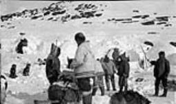[Inuit camp, Iqaluit, Population April 1936, 8 adults and 20 children] Original title: Native camp, Frobisher Bay, Population April 1936, 8 adults and 20 children April 1936.