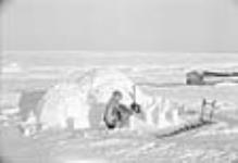 [Building an igloo. Padlei, N.W.T.] [1949-50]
