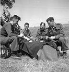 Infantrymen of The Highland Light Infantry of Canada playing cribbage, Thaon, France, 6 August 1944 August 6, 1944.
