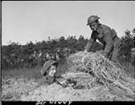 Pte Al Gautier and Pte John Hodgins of C Company, 5 Brigade Black Watch putting some straw in their slit trench near village 8 Apr. 1945