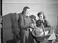 Personnel of the Canadian Red Cross comparing Kodak snapshots after visiting the wards of No. 10 Canadian General Hospital, R.C.A.M.C. (L.-R.:) Welfare Officers Margaret Ambrose, Susan Edwards 19 Dec. 1944