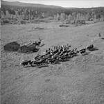 En direction de la vente de bétail de Quesnel (Colombie-Britannique), Pan Phillips atteint le village amérindien abandonné de Kluskus, où son bétail se repose pendant quelques jours Oct. 1956