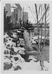 Winter view of garden with waterfall, designed by J. Austin Floyd, Delzotto apartment building, Lawrence Avenue and Keele Street 1963
