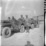 Allied and Italian personnel with jeeps. Sicily, italy, July 1943 JULY 1943