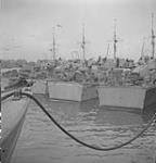 D-class motor torpedo boats of 65th Flotilla in harbour. Great Britain, circa 1944 1944