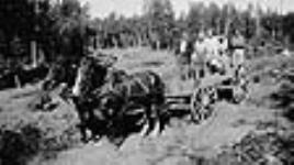 Relief Project No. 40. Wagon load of labourers 1935