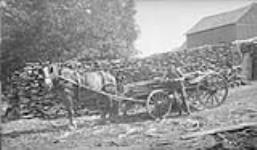 Lumber worker with horse & wagon, Kauffmans Mill, Rosseau Falls, Muskoka Lakes ca. 1908