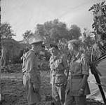 Members of the Canadian Army 30 Aug. 1943