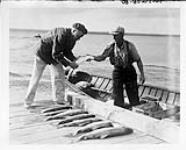 Unloading a catch - Prince Albert National Park c.a. 1945