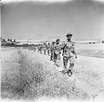 Infantrymen of the 48th Highlanders of Canada advancing towards Adrano, Italy, 18 August 1943 August 18, 1943