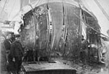 Whale bones aboard the "MAUD" July 1889