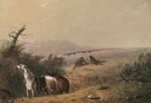 Approaching Buffalo 1867