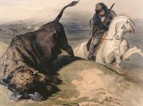 Buffalo hunting 1840.