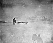 Eskimo Konacka with dogs and sleigh, 1906-11 1906-1911.