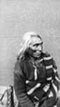 White Cap [Wapahaska], [Dakota] Indian Chief 1886