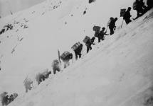 Life in the Klondike during the gold rush. Packing up Chilkoot Pass ca. 1898 - 1899