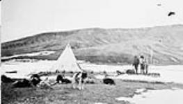 My camp. Two natives on the flats 11 June 1911.