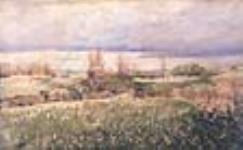 Labourage de la prairie au mois de juillet, T.N-O., Canada (ferme d'Arthur Field's, environ 8 kilomètres au nord-est de Broadview) ca. 1887-1909