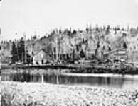Halfway from Quesnel Mouth to Cariboo. "Edward" Cottonwood Oct. 1865