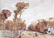 Autumnal Tints- Road Behind Lundy's Lane Falls of Niagara, 17 octobre, 1838