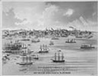Vue de la ville de Saint-Jean et de son port. Publicité de Manchester, Robertson et Allison, marchands d'articles de mercerie :  1890