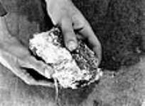 Un ouvrier tient un morceau de minerai d'amiante brut provenant de la mine de la société Les mines d'amiante Bell Limitée à Thetford Mines juil. 1944