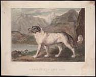 Newfoundland Dog 1749-1815