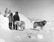 Inuit and Dogs 1953