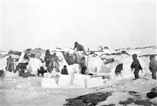 Inuit building igloos 1904.