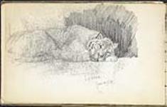 Tigre endormi, zoo de Londres January 21, 1917