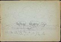 Paysage d'arbres et de meules de foin, Flandre française 1917