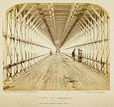Interior view of the Niagara Suspension Bridge 1859.