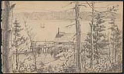 Port Saunder 3 août 1885.