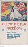 Follow the Flag for Freedom 1914-1918
