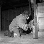 [Man working a fur press] [between 1956-1960]