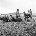 [Group of children playing on a seesaw made from an oil barrel and a piece of wood] [between 1956-1960]