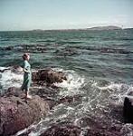 Woman standing on rocks looking out over the water juillet 1953