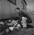 Gordon Hollingsworth, baie Frobisher, T.N.-O., [Iqaluit (anciennement baie Frobisher), Nunavut] [between June-September, 1960].