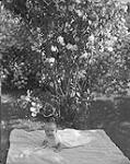 H.R.H. Princess Margriet at house, July 1, 1943 1943.