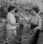 NATO wives buying groceries 1958