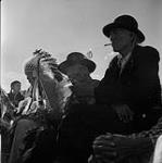 Blood tribe elders watching the rodeo 1960